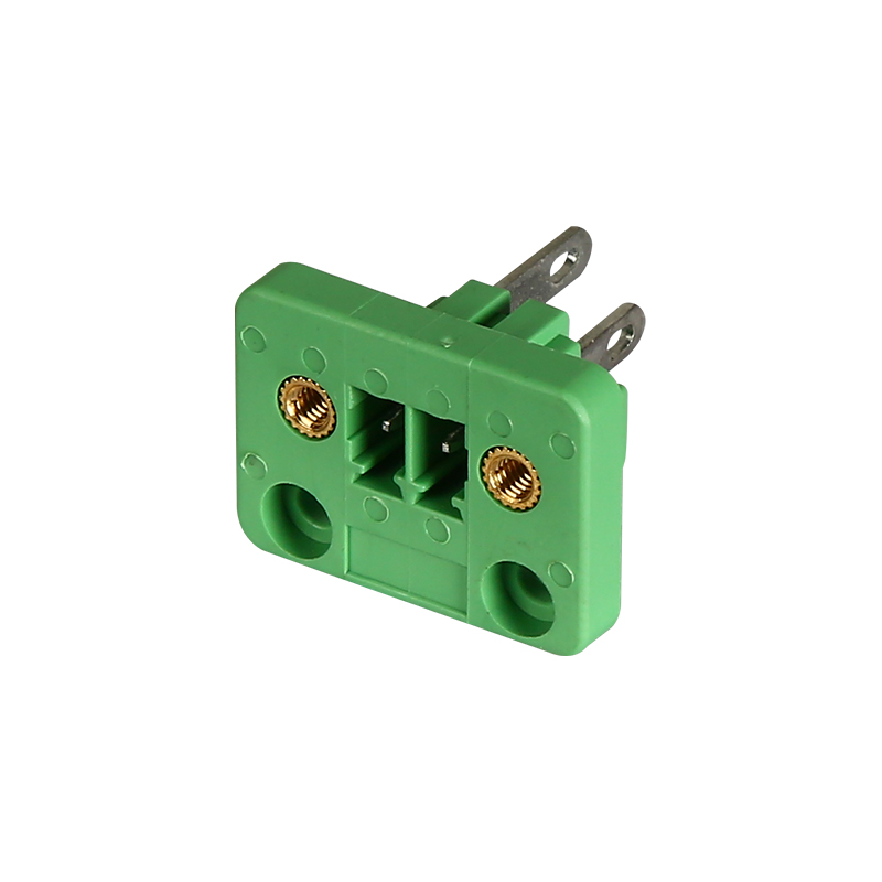 2P 3.81mm ຜ່ານ Wall Terminal Block